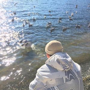 香蕉网站在哪里看
